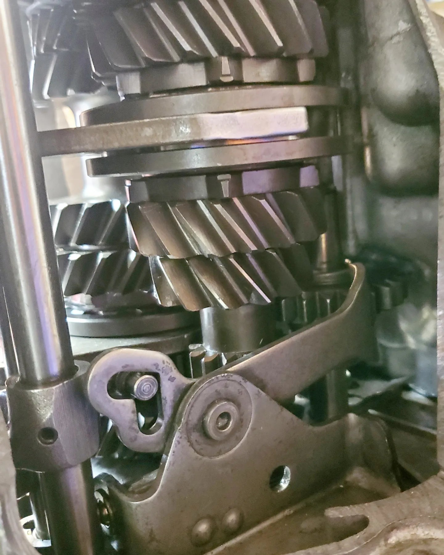 B SERIES DOG BOX FWD